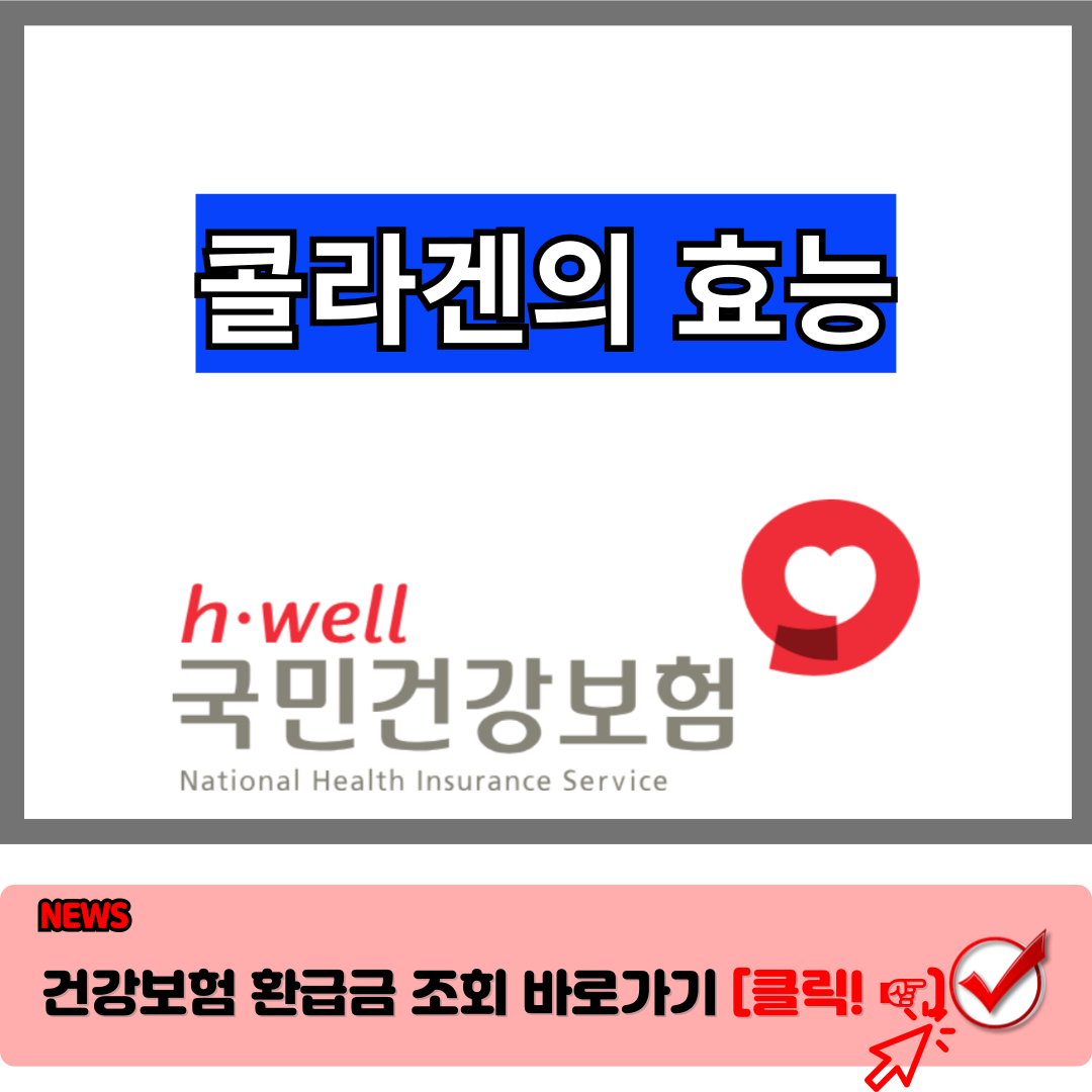 콜라겐의 효능 , 먹는 콜라겐의 효능, 저분자 콜라겐의 효능 총정리 d