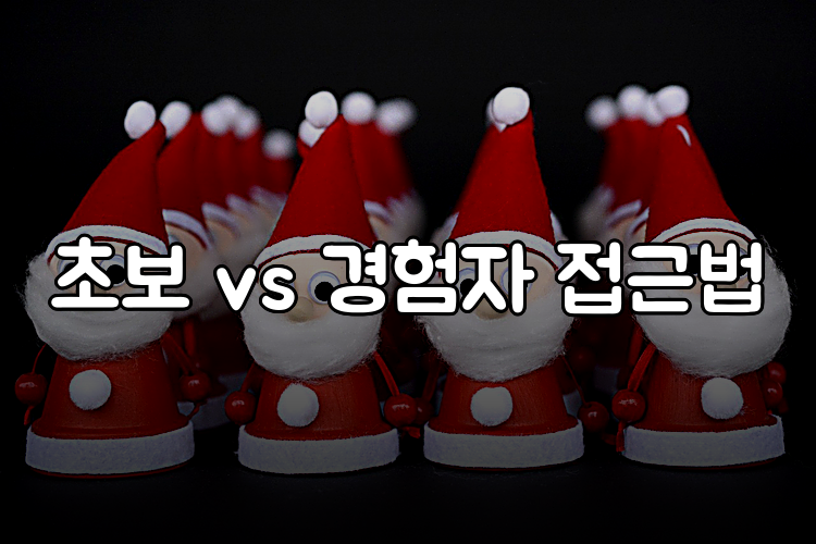 초보 vs 경험자 접근법