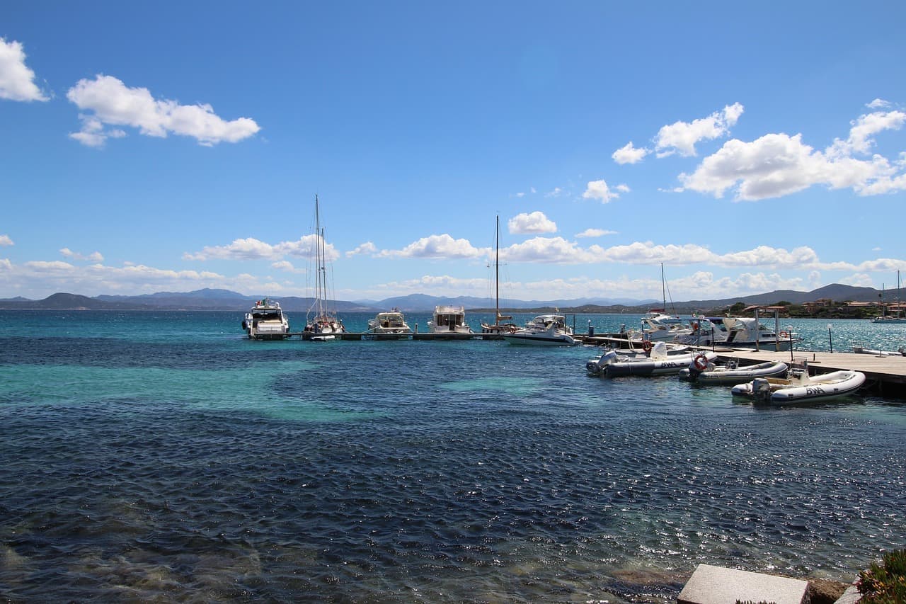 김치와 장수 마을: 발효 음식과 건강 수명