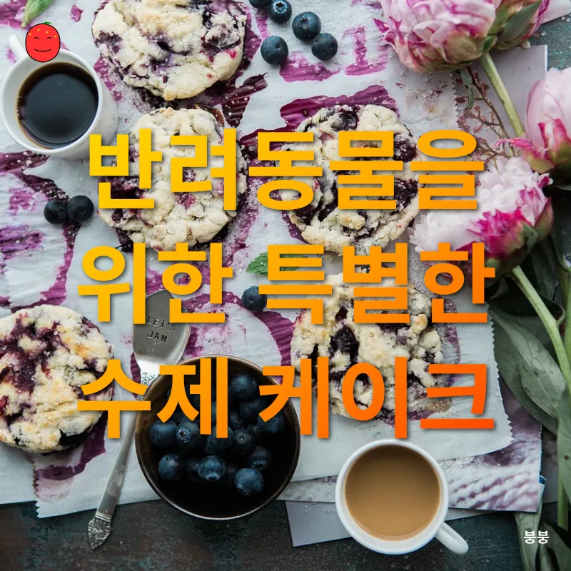 반려동물 수제간식_2