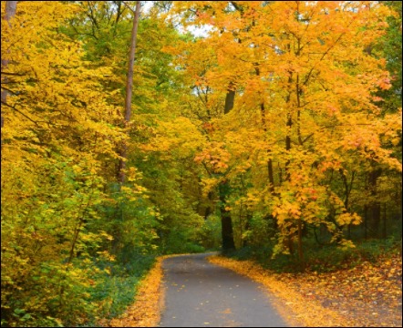 10월 제철 음식-10