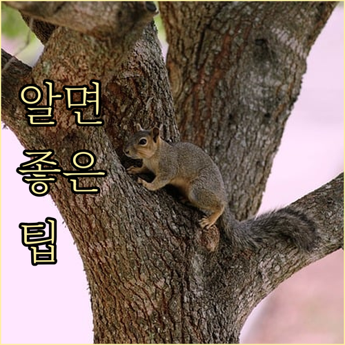 외삼미동 주민을 위한 쓰레기 배출 요..