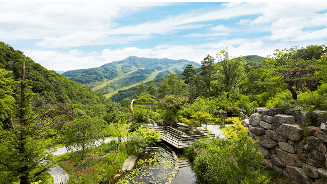 5월 가족 나들이 추천 BEST 7