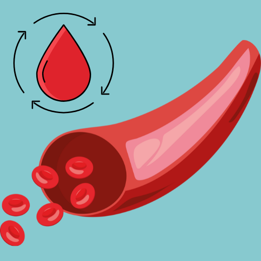 혈관 건강 개선