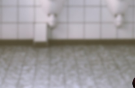 변비 예방 식단