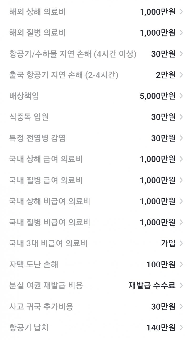카카오페이 여행자보험 1,500원 보험료 보장내용