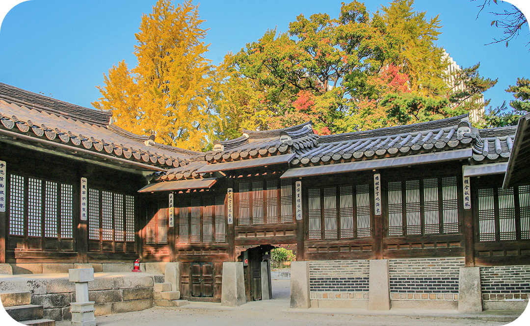 #교보 #교보생명 #서울가볼만한곳 #서울전시회추천 #운현궁 #불금 #전시회 #공연추천 #서울도서관 #한성백제박물관