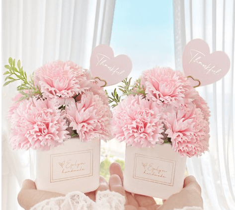 카네이션 종류-쿠팡 출저