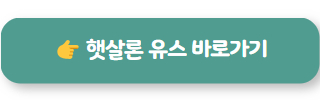 정부지원서민대출 햇살론 유스