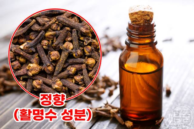 배에 가스찰때 해결법,배에 가스찰때 활명수,배에 가스찰때 먹는약