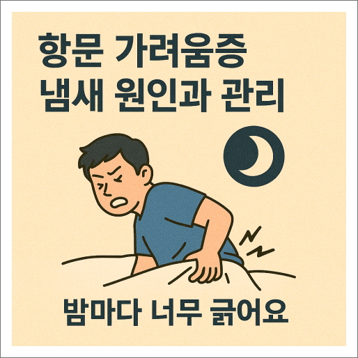 항문 가려움증 냄새 원인과 관리_밤마다 너무 긁어요