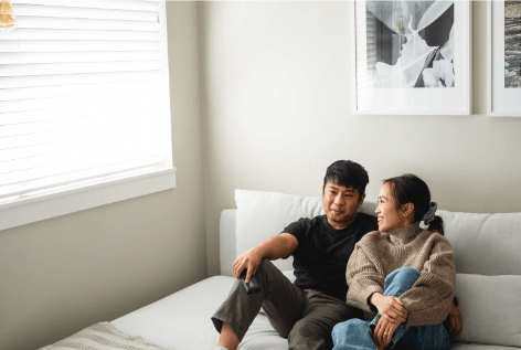 시험관시술정부지원