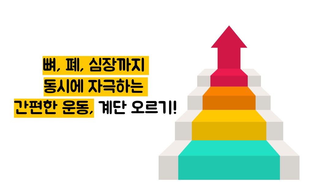 계단오르기 운동효과