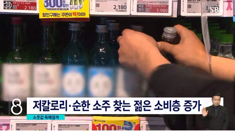 2023.소주1병.6000원시대.순해지는소주.독해지는가격