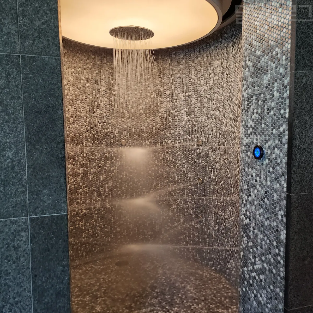 정선-파크로쉬-수영장-샤워