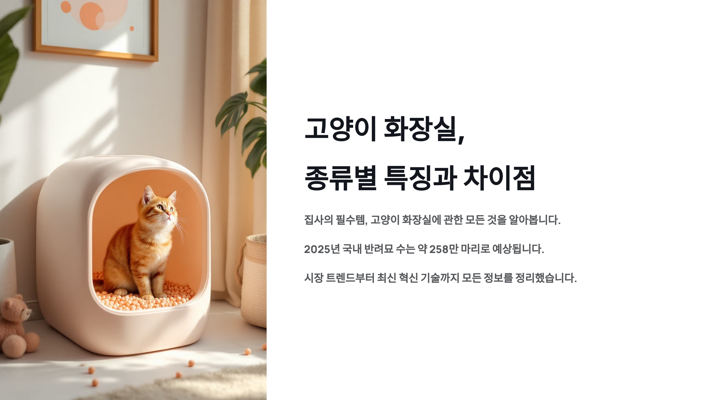 고양이 화장실, 종류별 특징과 차이점은?