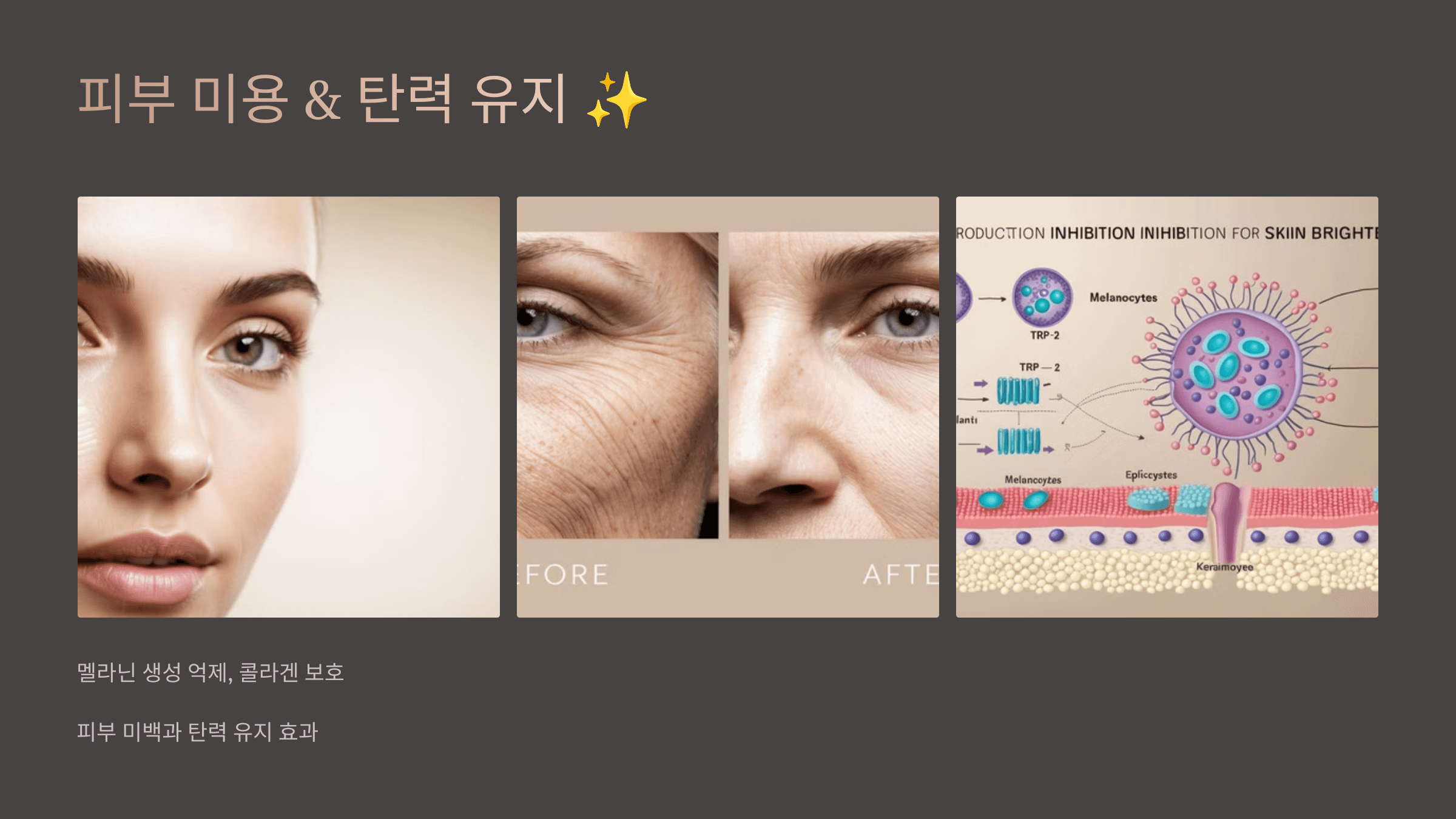 폴리페놀과 관련된 사진입니다.