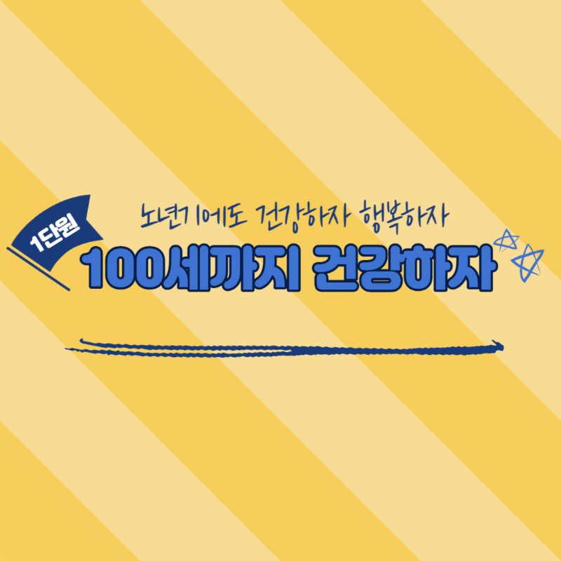 노인 건강
