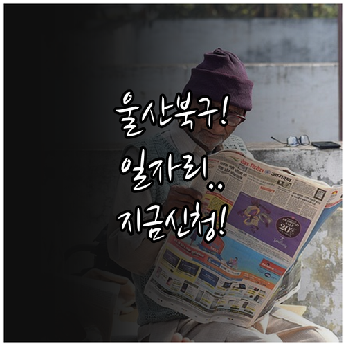 울산 북구 노인 일자리 모집 시기 신..