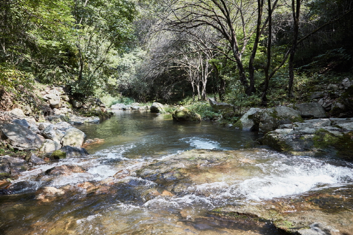중미산 자연휴양림