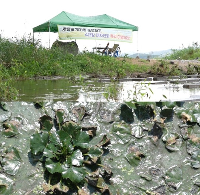 이명박 4대강 사업, 왜 했고 무엇이 문제였나? 총정리 관련 사진