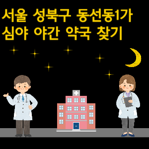 서울 성북구 동선동1가 심야 야간 24시 약국 찾기