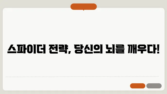 스파이더 카드놀이