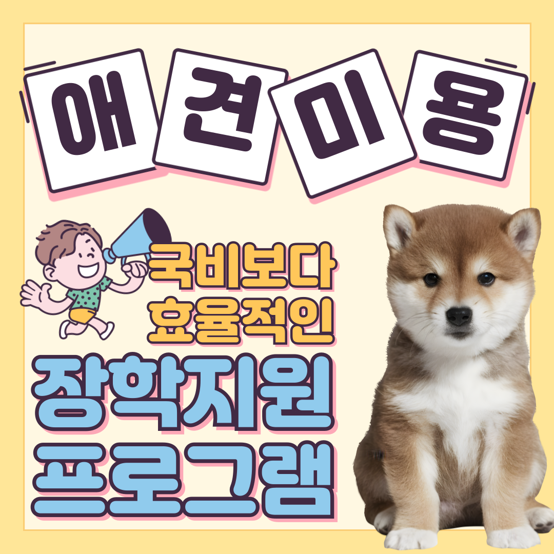 인천애견미용학원수강료