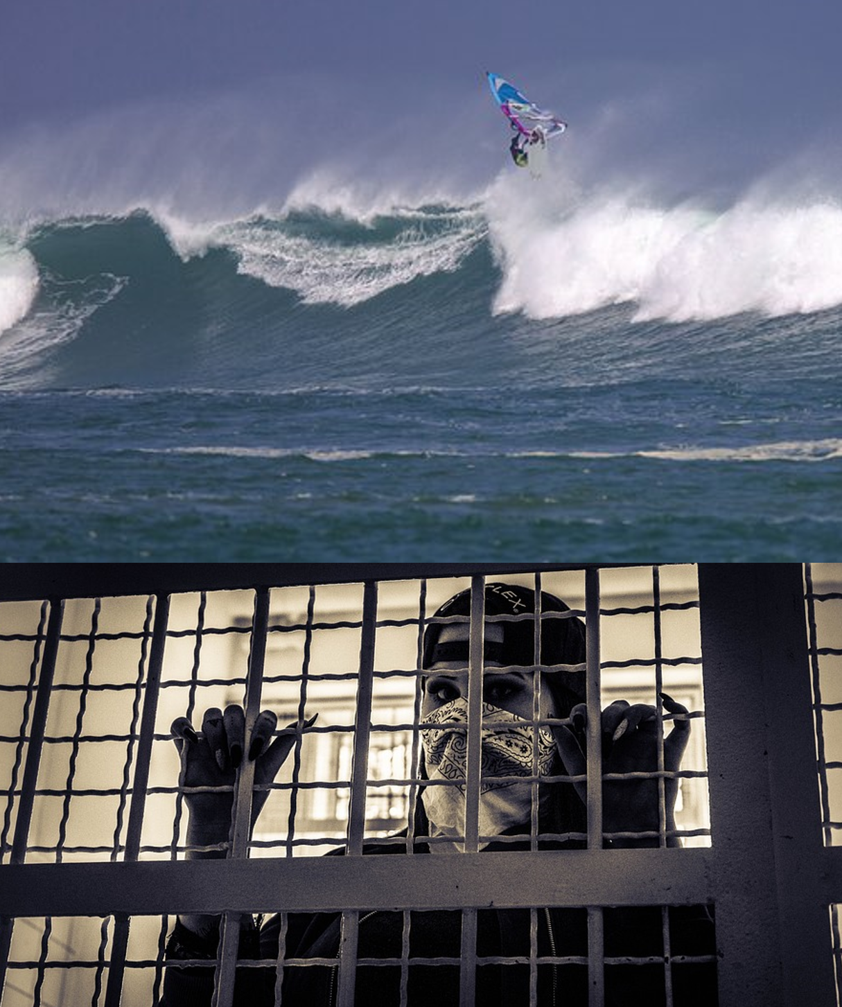 Rogue 뜻과 의미 그리고 예문 20개