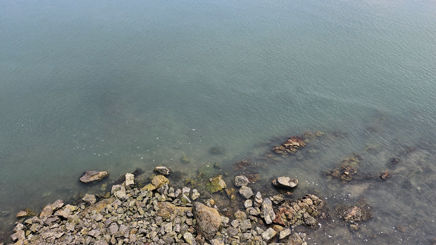 하늘고래전망대