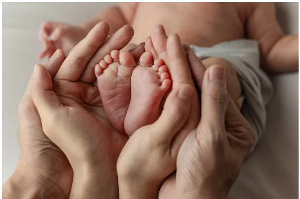 양육비 선지급제