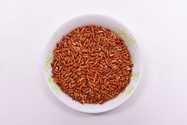 나토필 나토키나제 효능