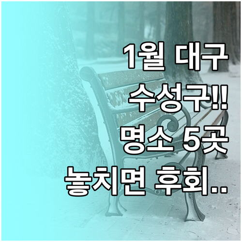 1월 대구 수성구 가볼만한곳 추천 명..