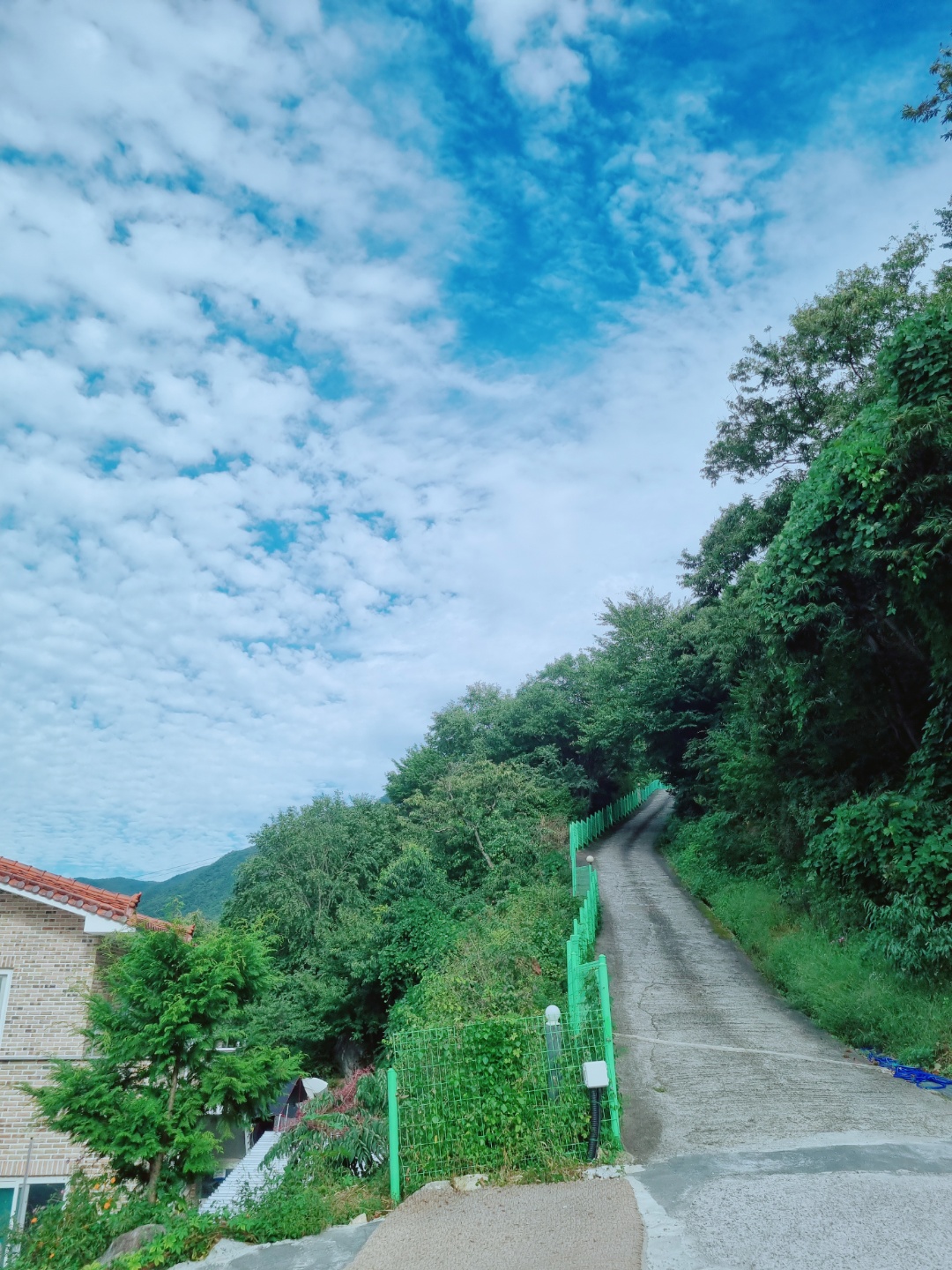 사과향기 캠핑장