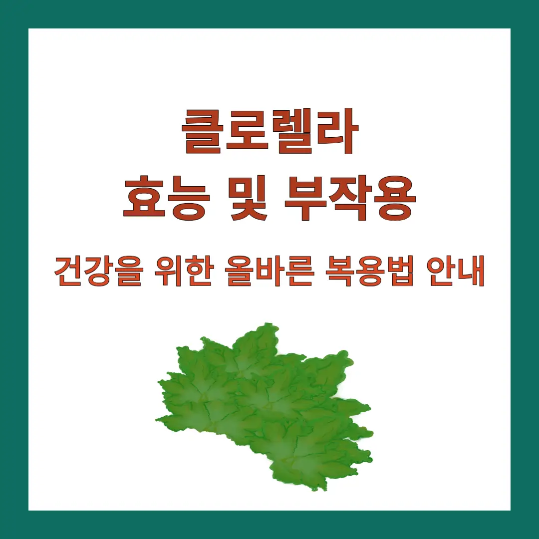 클로렐라-효능-부작용