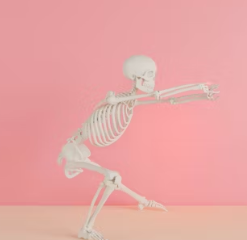 골다공증에 좋은 음식 영양제 식단