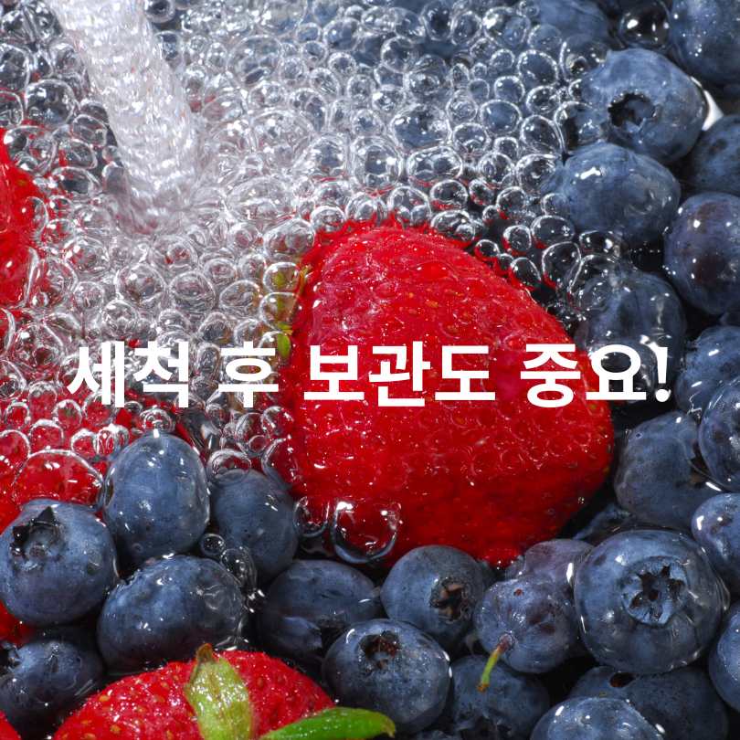 과일세척방법