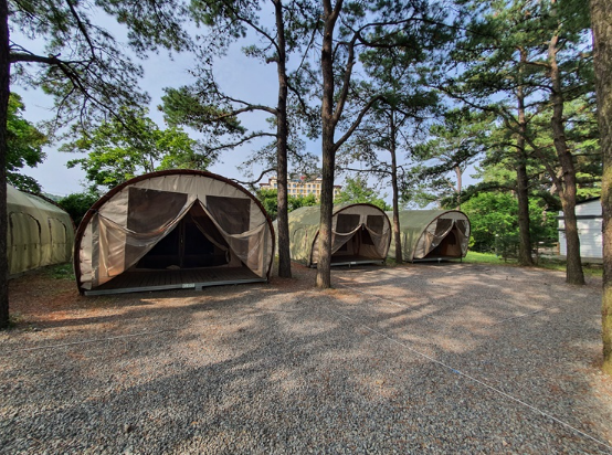 장안캠프 루프데크