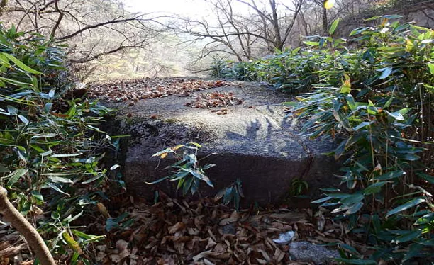 학천정
