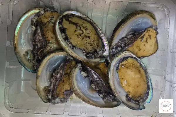 전복버터구이-생물 전복-손질 전