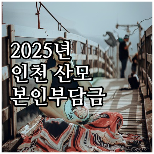 2025 인천 산모·신생아 건강관리,..