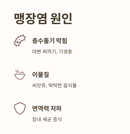 맹장염의 원인