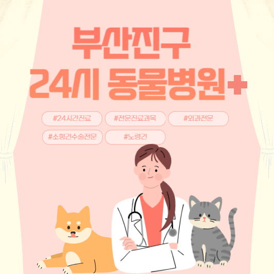부산진구 24시 동물병원