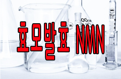 효모발효 NMN