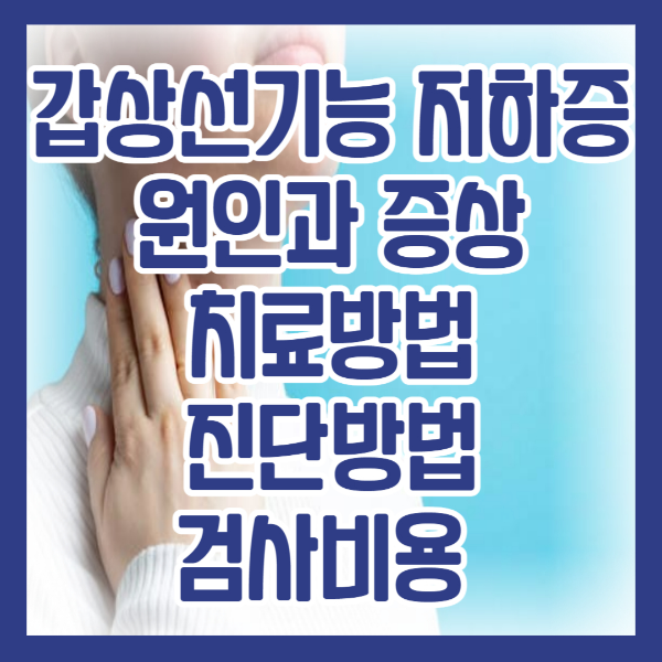 갑상선기능 저하증 치료방법, 원인과증상/ 진단방법, 검사비용