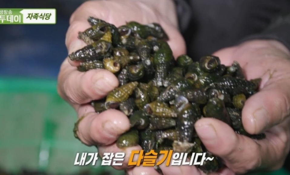 춘천-다슬기