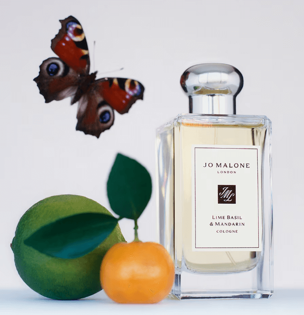 발렌타인데이, 선물 추천, 2025 트렌드, 발렌타인데이 선물, 초콜릿, DIY, 향수, 레고, 실용선물, 커플 선물