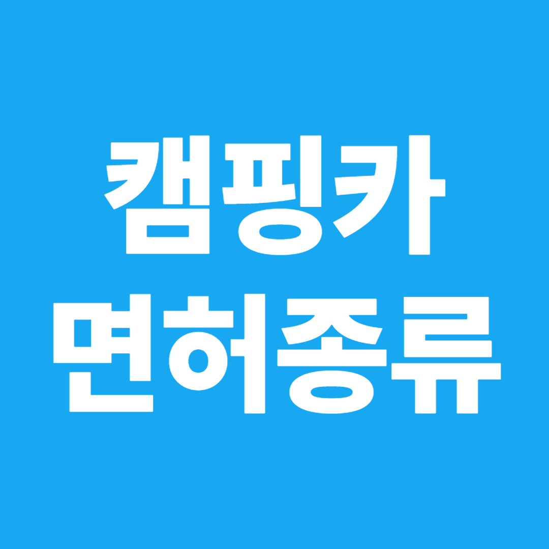 캠핑카 면허종류