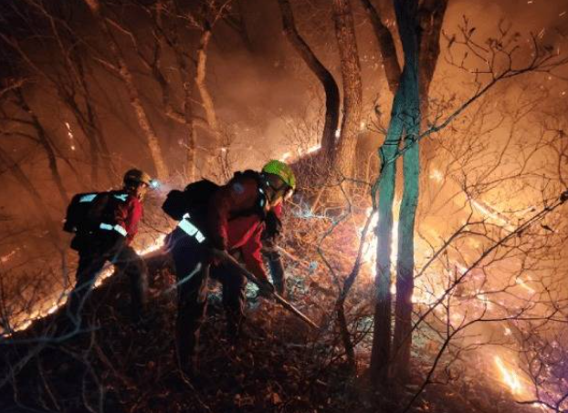 양양 산불 진화