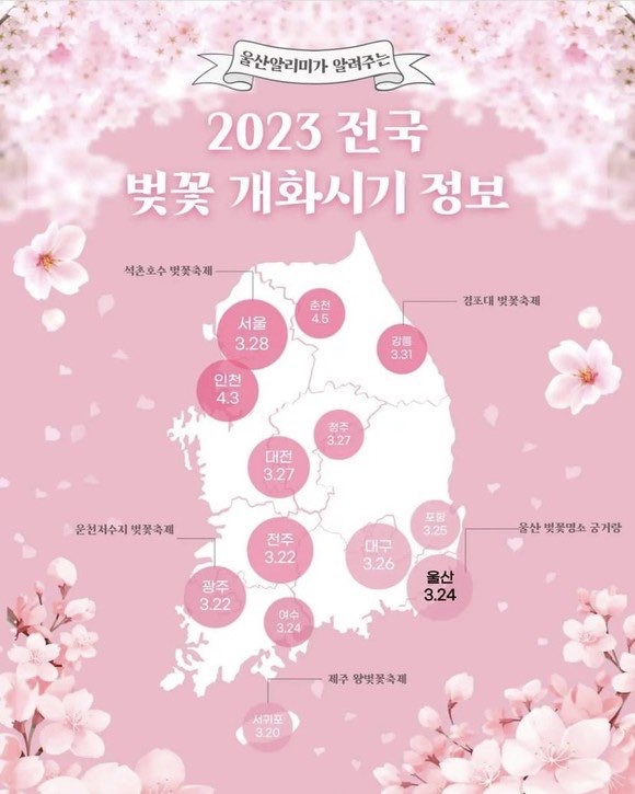 2023 벚꽃개화시기